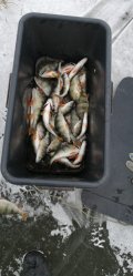 IMG-20201227-WA0062.jpg