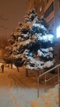 20210215_190634.jpg