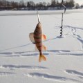 IMG_20210219_100427_1.jpg