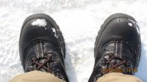 IMG_0365.JPG IMG_0365.JPG