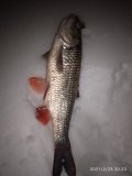 IMG_20210225_202306.jpg