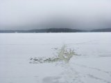 IMG_1077.JPG