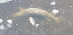 20210228_113815.jpg