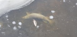 20210228_113856.jpg