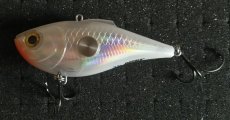 IMG_20210301_115744.jpg