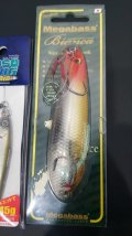 20210302_065031.jpg