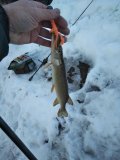 IMG_20210302_163926.jpg