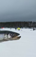 IMG_20210313_202720.jpg