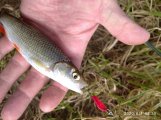 IMG_20200801_085540.jpg