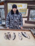 IMG_20210318_162642.jpg