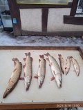 IMG_20210318_175036_1.jpg