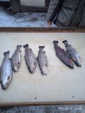 IMG_20210318_183050.jpg