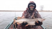 IMG-20210317-WA0057.jpeg