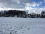 IMG_1113.JPG