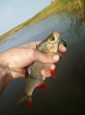 IMG_20200925_132045.jpg
