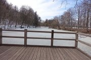 DSC00531.JPG