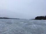 IMG_1202.JPG