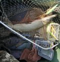 IMG_20201014_134216.jpg