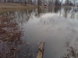 IMG_20210412_132223.jpg