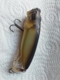 IMG_20201210_102725.jpg