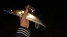 IMG_20210417_001433.jpg