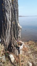 20210423_092857.jpg