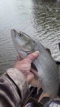 IMG-20210424-WA0069.jpg