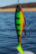 IMG_2628.jpg