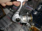 IMG_20210504_154309.jpg