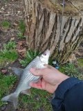 IMG_20210504_185839.jpg
