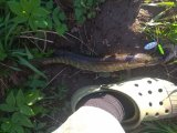 IMG_20210511_172623.jpg