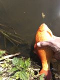 IMG_20210516_110445.jpg
