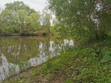 IMG_20210524_131230.jpg