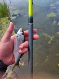 IMG_20210530_112559.jpg