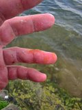 IMG_20210530_122306.jpg