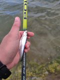 IMG_20210530_124403.jpg