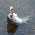 IMG_20210525_050852.jpg