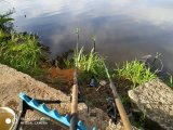 IMG_20210531_063913.jpg