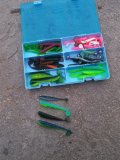 IMG-20210602-WA0001.jpg