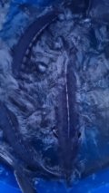 20210602_213011.jpg