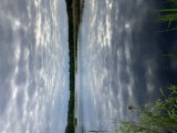 209330B5-2F64-46B4-95C8-63E7ECADC37A.jpeg