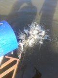 IMG_20210619_073953.jpg