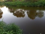 IMG_20210619_204735.jpg