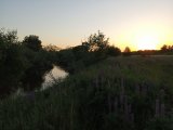 IMG_20210619_204754.jpg