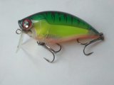 IMG_20210606_100153.jpg