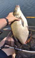 IMG_20210622_160944.jpg
