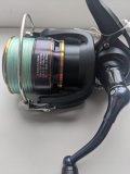 PXL_20210605_074853050.jpg