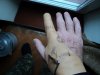 DSC01335.JPG
