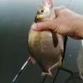 IMG_20210708_102708_485.jpg