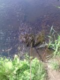 IMG_20210709_130514.jpg